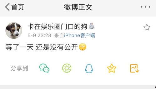 今日最新吃瓜爆料微博號,最新吃瓜爆料大揭秘！”