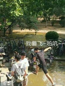 杭州下水道爆料事件最新,揭秘城市“地下暗流”背后的真相