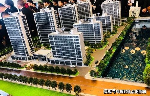 奇葩活動爆料視頻大全最新,奇葩活動爆料視頻大全盤點